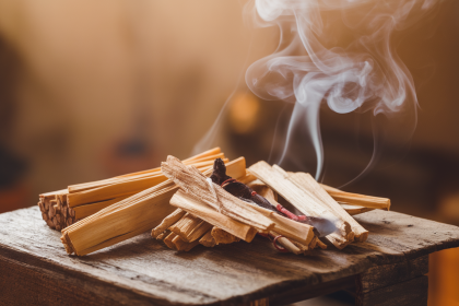 Palo Santo Danger : Risques et Précautions d'Utilisation à Connaître