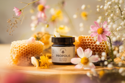 Propolis : Dangers et Précautions à Connaître Avant Utilisation
